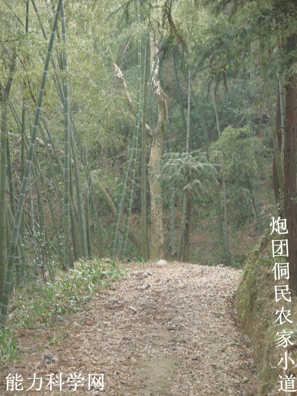 ·֮ 