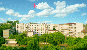 ҼصְѧУУ